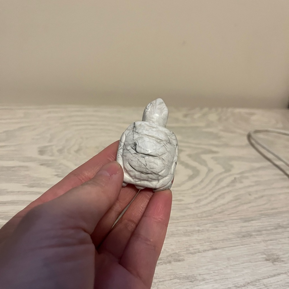 Crystal Bundle - Polish White Howlite